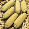 Image of Popcorn