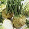 Image of Celeriac
