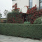 Image of Flowering Shrubs