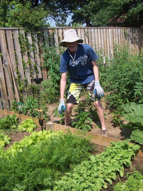 Proud Gardener