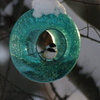 Blue Moon Feeder