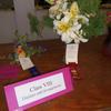 Winning Lilies