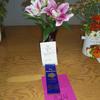 Winning Lilies 2