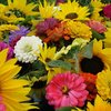 Wedding Flowers