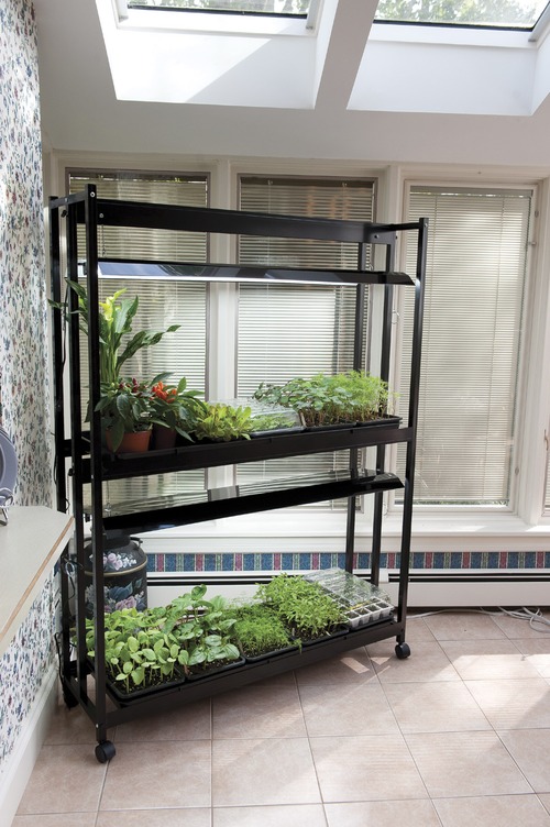 Image of 2-Tier 4' Light Garden