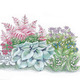 Image of Perennial Shade Garden Collection