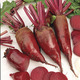 Image of Rodina Beet