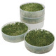 Image of Victorio 4 Tray Sprouter