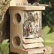 Image of Ladybird/Lacewing Log