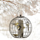 Image of Mixed Feed Globe Feeder