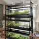 Image of Deluxe 3-Tier Light Garden