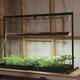 Image of 4' Table Top Jump Start Grow Light