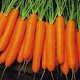 Image of Pelleted Carrot Collection