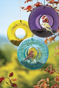 Image of Glass Bird Feeders