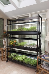Image of Deluxe 3-Tier Light Garden