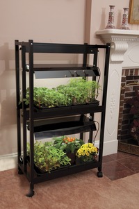 Image of 2-Tier 2' Light Garden