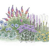 Image of Butterfly Garden Collection