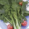 Image of Atlantis Broccolini