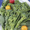 Image of Zamboni Rapini