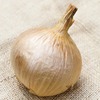 Image of Globo Onion