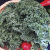 Image of Ripbor Organic Kale