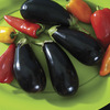 Image of Michal Organic Eggplant