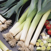 Image of Bandit Organic Leeks