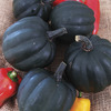 Image of Teddy Organic Squash