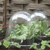 Image of Victorian Bells