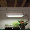 Image of 2' Fixture