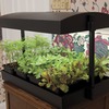 Image of Grow Light Garden