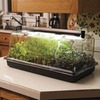 Image of SunBlaster Grow House