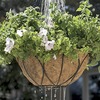 Image of Aqua Save Basket Liners