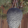 Image of Wasp-B-Gone