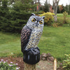 Image of Garden Defense Owl