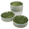Image of Victorio 4 Tray Sprouter