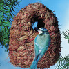 Image of Oval Roosting Nest Pocket