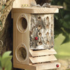 Image of Ladybird/Lacewing Log