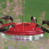 Image of Classic Hummingbird Feeder