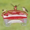 Image of Jewel Box Hummingbird Feeder