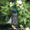 Image of Squirrel Buster Mini