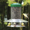 Image of Classic Hanging Feeder