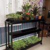 Image of Floor Model Light Garden