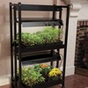 Image of 2-Tier 2' Light Garden