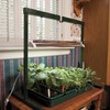 Image of 2' Table Top Jump Start Grow Light