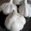 Image of Music Organic Fall Garlic