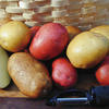 Image of Organic Potato Collection