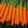Image of Pelleted Carrot Collection