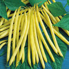 Image of Soliel