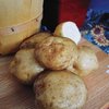 Image of Irish Cobbler